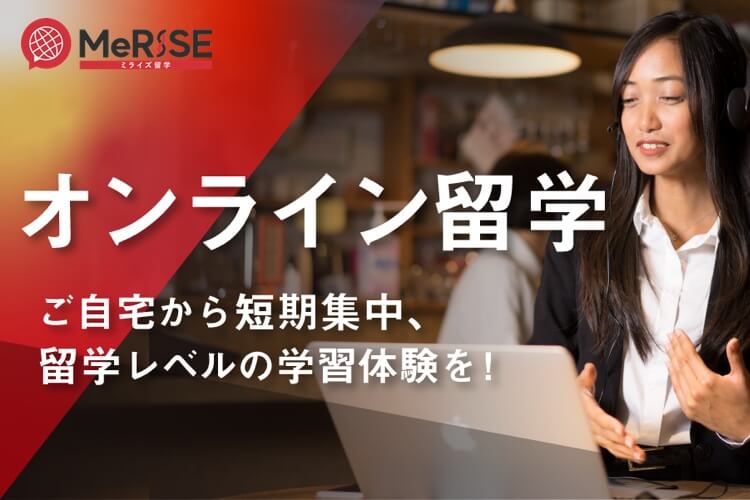 MeRISE オンライン