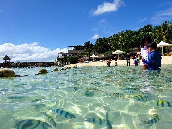 子供と楽しむセブ島旅行 シャングリラ マクタン リゾート スパ